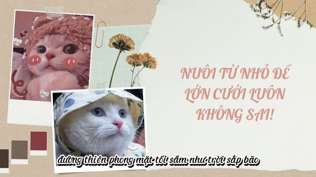 Truyện Audio Hay || Nuôi Từ Nhỏ Để Lớn Cưới Luôn Không Sai! || Thiên Thần Dắt Truyện