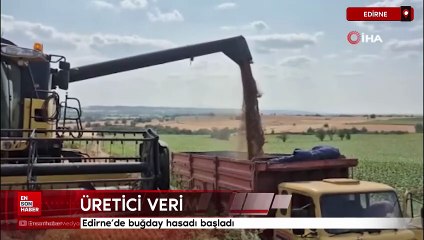 Edirne'de buğday hasadı başladı: Üretici verimden memnun