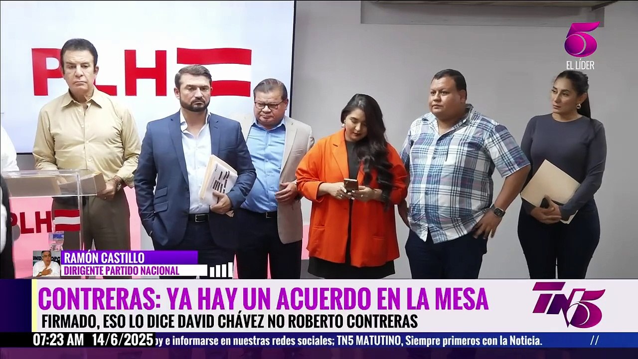 Castillo: Estamos viendo una lucha de problemas internos en el Partido Nacional