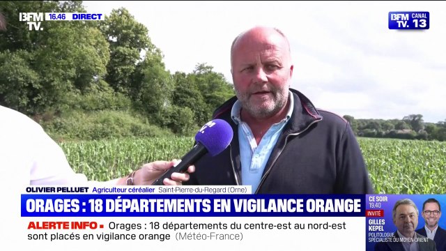 Cet agriculteur de l'Orne estime entre 30 à 50% les pertes sur ses récoltes après le passage de violents orages