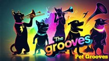 Pet Grooves The Harmony Heist - Episode 1