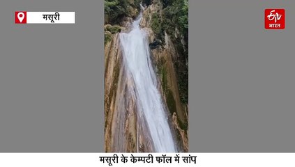 केम्पटी फॉल में पर्यटकों के बीच आया सांप, मची चीख पुकार, जानें फिर क्या हुआ