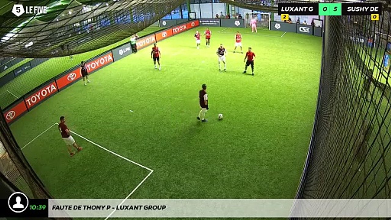 Faute de Thony P - Luxant Group