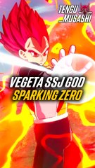 Vegeta SSJ GOD dans Dragon Ball Sparking Zero !