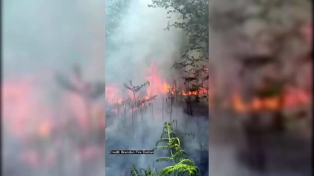 Large forest fire brought under control after crews tackle blaze for nearly 30 hours