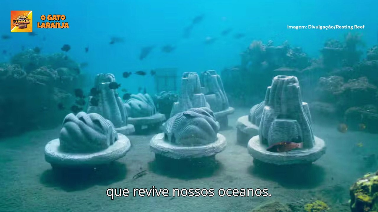 De cinzas a corais: O legado subaquático que revive nossos oceanos
