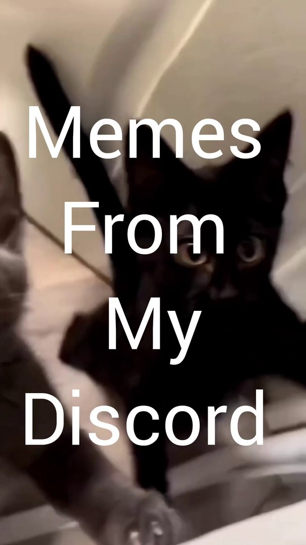 ⁣Memes compilation from my discord - 2