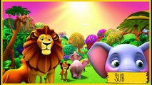 Old MacDonald Song with Safari Animals | Lalafun Nursery Rhymes & Kids Songs