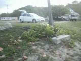 PLAGE D ANSE BERTRAND