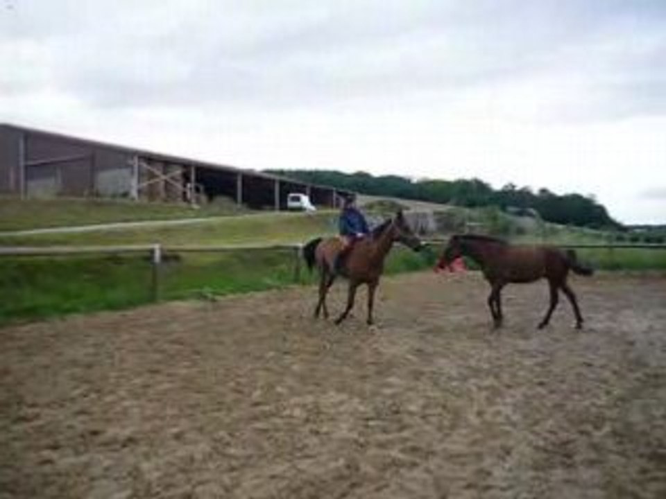 saut d'obstacle