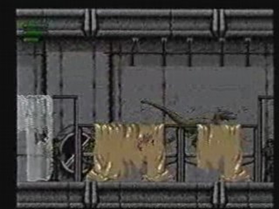 Jurassic Park - Raptor