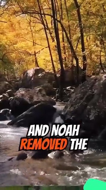 Genesis chapter 8 verse 12 to 22