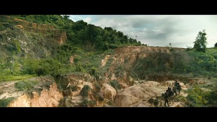 DISCOVER a new species in the catacombs