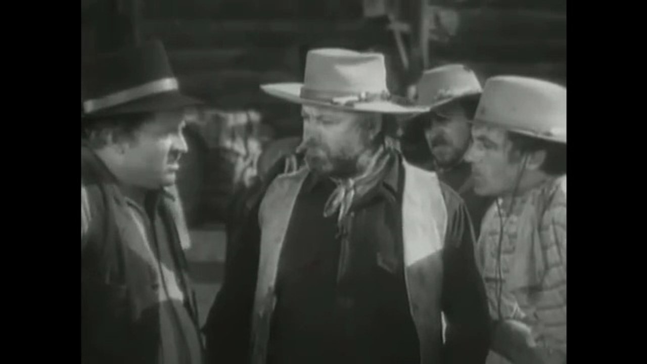 EL CAMINO DEL OESTE  / Películas de Oestee