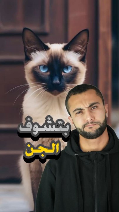 هل القطط تشوف الجن؟https://psce.pw/7qn5nt#النواة #القطط#Alnawa #dubai🇦🇪 #dubailife #Felis_catus #trending #travel #nature #wildlife