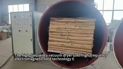 The high-frequency vacuum dryer