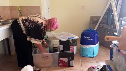 Flood-displaced North Queensland residents thrown into rental crisis