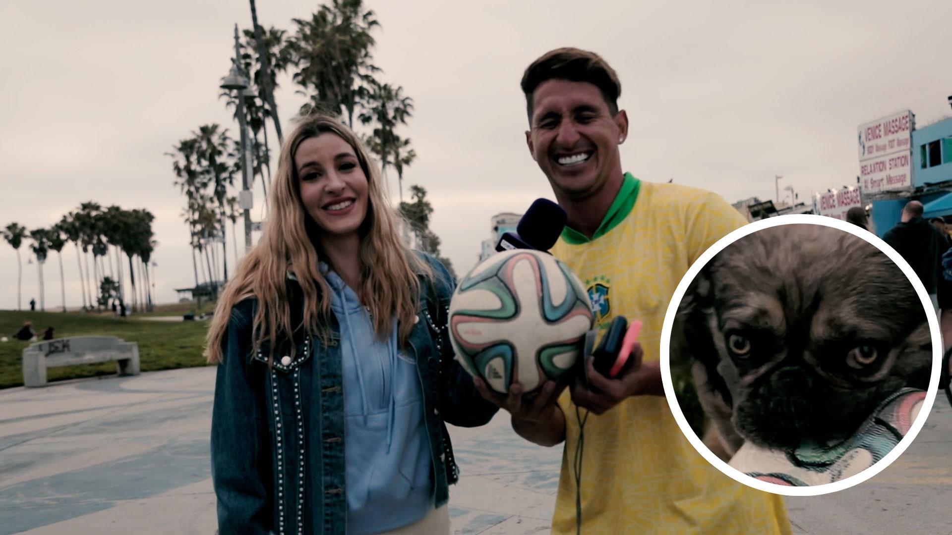 Dog destroys emblematic World Cup ball