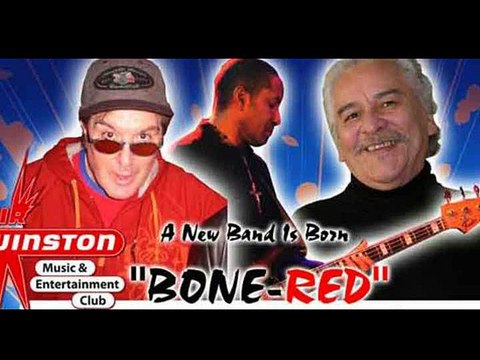 SHAKE THE FUNK ( LEO BENNINK FUNK / SOUL / RAP / R&B / ROCK )