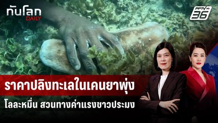ราคาปลิงทะเลในเคนยาพุ่งโลละหมื่น สวนทางค่าแรงชาวประมง | ทันโลก DAILY | 18 มิ.ย. 68
