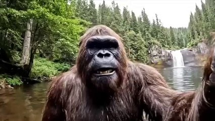 Bigfoot VLOG - Day in the life