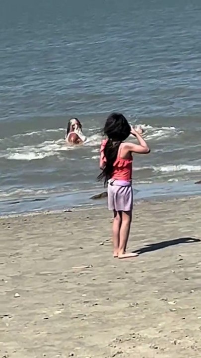 funny video8