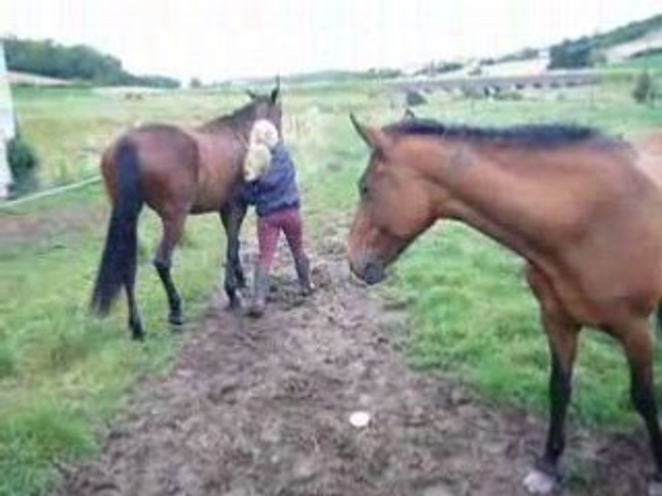 cours d'hippoligie! mdr