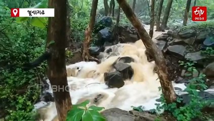 "વૉટર વુમન ઓફ ઇન્ડિયા" શિપ્રા જૂનાગઢની મુલાકાતે, પર્યાવરણને બચાવવા હાથ ધર્યું અભિયાન