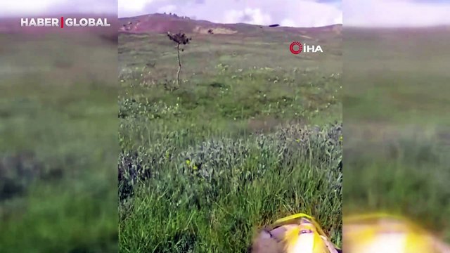 Mantar toplamaya çıktı, tilkiyle dost oldu