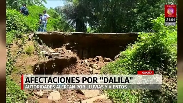 Techos colapsados, árboles caídos y carreteras dañadas, saldo del paso de 'Dalila' por Oaxaca