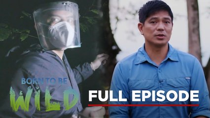 The Survival Story of Wildlife (Full Episode) | Born to be Wild