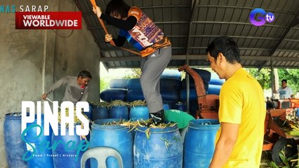 Kara David, sinubukan ang paggawa ng pagkain para sa mga alagang tupa | Pinas Sarap