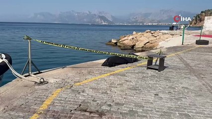Antalya'da kahreden görüntü: Manzaradan ceset çıktı!