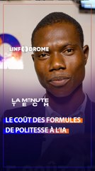 POURQUOI ÉVITER LES FORMULES DE POLITESSE AVEC L'IA ?