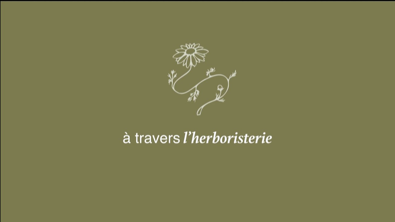 Motion Graphic La Maison Sève - Year 2 final project