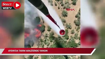 Aydın’da tarım arazisinde yangın