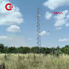 Edirne'de orman yangını