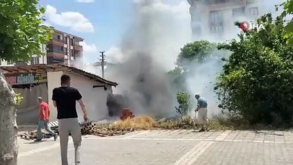 Alevler içerisinde kalan köpekleri tek tek böyle kurtardılar