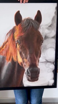 Dessin réaliste d’un cheval réalisé avec les crayons de couleur