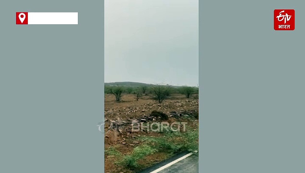 चंबल के जंगल का जायजा लेने पहुंचे चीते, क्रॉस की कूनो नेशनल पार्क की बॉर्डर