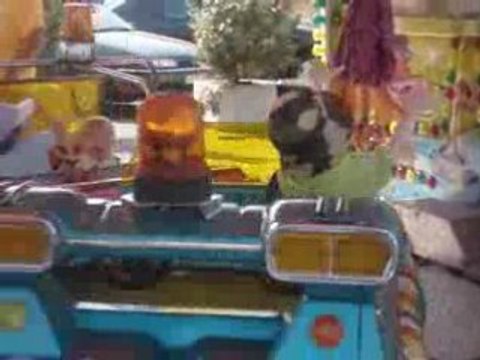 Manège à fort mahon