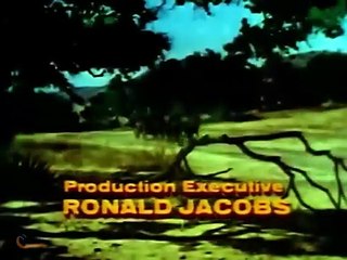 La Banda Invencible PELÍCULA DEL OESTE EN ESPAÑOL Western 1969 HD