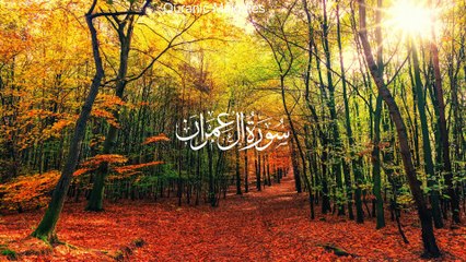 Surah  Aal-E-Imran Full