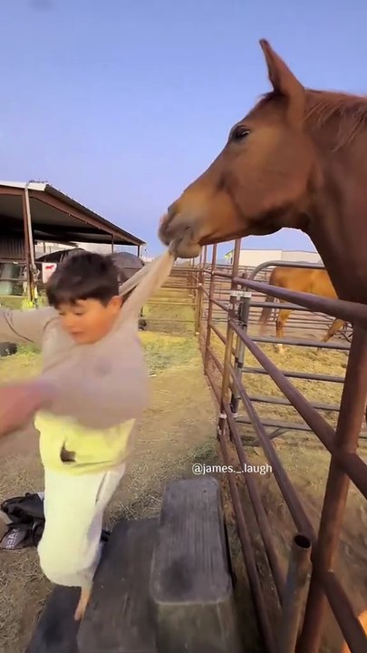 The end 😂#fun #funnyvideo #funnymoments #fail #prank #fails #foryoupage #jameslaugh #haha #failarmy #laugh #😂 #😂😂 #😂😂😂 #2