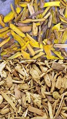 दारुहरिद्रा जड़ी-बूटी के फायदे 💯