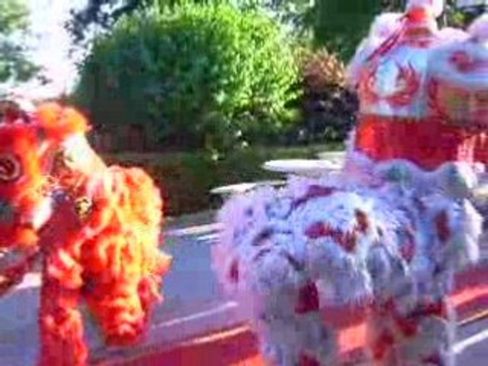 DANSE DU LION RCFA 5