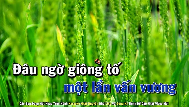 Hai Sắc Hoa Tigon Karaoke Tone Nam Nhạc Sống - Phối Mới Dễ Hát - Nhật Nguyễn