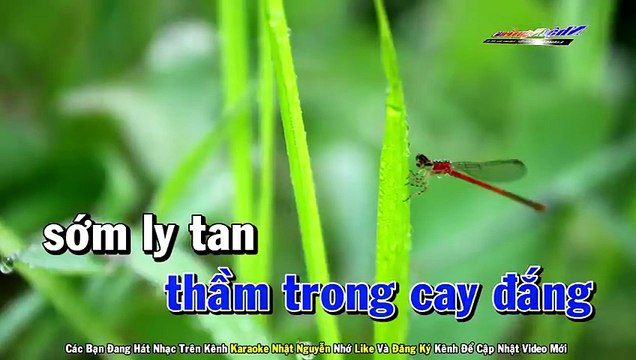 Lan Và Điệp 2 Karaoke Tone Nam Nhạc Sống - Phối Mới Dễ Hát - Nhật Nguyễn