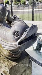 Sant'Angelo a Fasanella (SA) - Torna a vivere l'antica fontana di piazza Ortale (15.06.25)