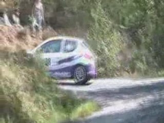 Rallye du Gard 2008(Sénéchas 4em pass)